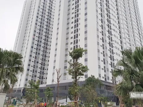 Hải Phòng dành 350 tỷ đồng vốn vay ưu đãi mua nhà ở xã hội năm 2025