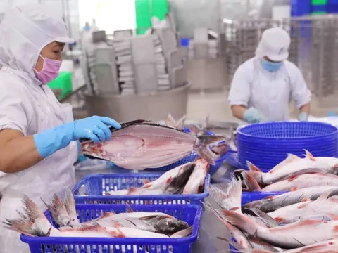 Vĩnh Hoàn đặt mục tiêu doanh thu cao nhất lịch sử kinh doanh