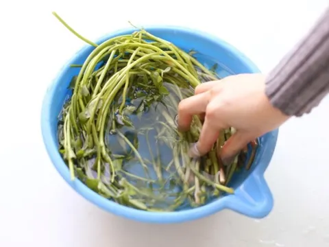 2 loại rau dễ "ngậm" thuốc sâu, nhất là cái số 1