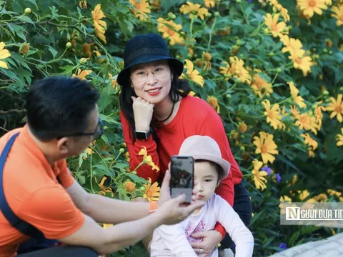 Biến mùa hoa thành “mùa vàng” du lịch