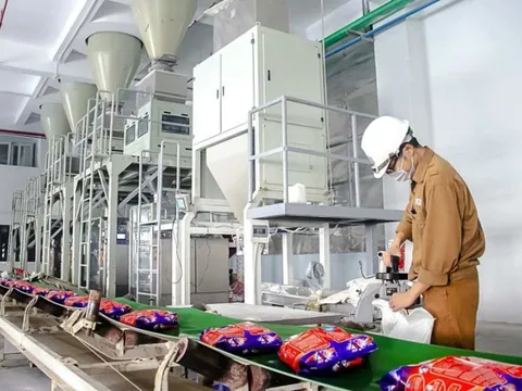 Đo dư địa cổ phiếu DGC của Hoá chất Đức Giang