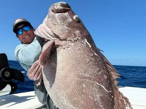 Ngư dân Florida câu được cá mú khổng lồ ở vùng nước sâu