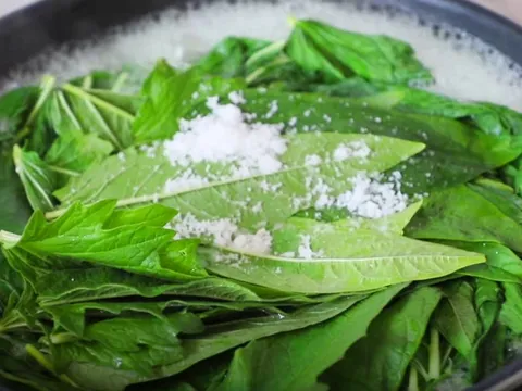 Lá của cây này được ví như "nhân sâm của người nghèo", đừng bỏ phí