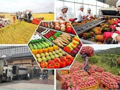 Giá trị gia tăng các sản phẩm nông nghiệp kỳ vọng đạt trên 4%