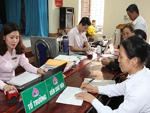 Tp.HCM tạo điều kiện cho người dân tiếp cận vốn vay ưu đãi