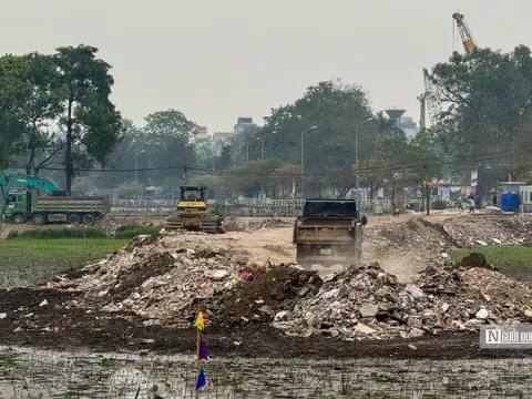 Hà Nội: Nghiêm cấm đổ trạc thải san lấp hồ Đầm Trị