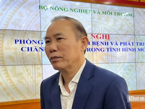 Mỹ áp thuế đến 46%, đâu là hướng đi cho nông sản Việt?