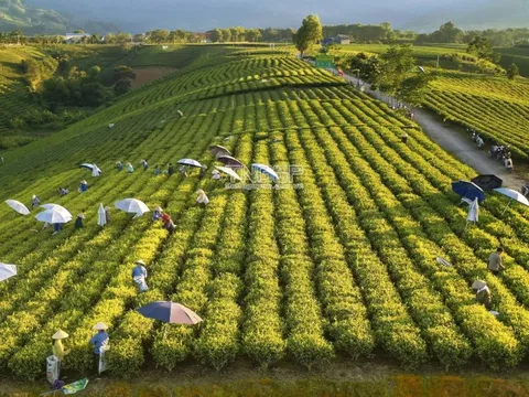 Hà Nội và Thái Nguyên tăng cường liên kết phát triển du lịch