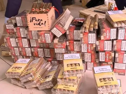 Hà Nội: Tạm giữ 1.500 điếu cigar nghi nhập lậu
