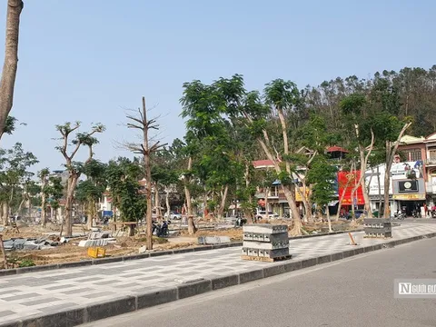 Hải Phòng: Tập trung hoàn thành giải phóng mặt bằng dự án vườn hoa 80 tỷ đồng