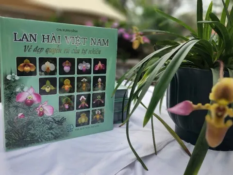 Ra mắt cuốn sách là “kho tư liệu đồ sộ” về Lan hài Việt Nam