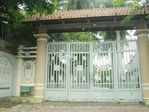 Khởi tố, truy nã Chủ tịch Công ty Cây xanh Công Minh