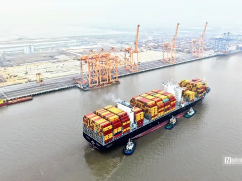 Cảng container quốc tế công suất 2,2 triệu TEU/năm tại Hải Phòng chính thức đi vào hoạt động