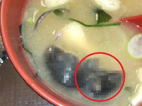 Đang ăn, thực khách bất ngờ phát hiện thứ "đáng sợ" trong bát canh
