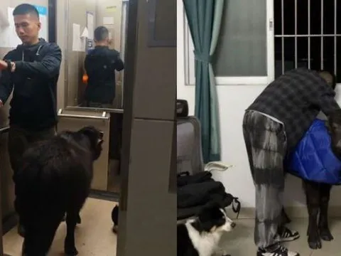 Tranh cãi chuyện nam thanh niên nuôi trâu trong phòng trọ