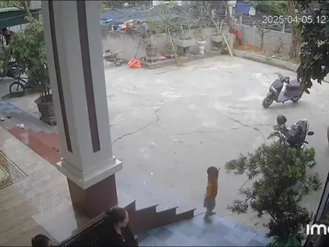 Xúc động video bé trai 3 tuổi nhanh trí gọi người lớn cứu bạn đuối nước