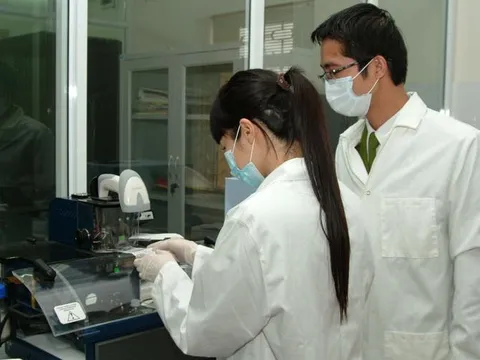 Chế độ bồi dưỡng giám định tư pháp mới áp dụng từ 20/5/2025