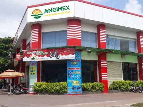 Angimex bị phong tỏa tài khoản ngân hàng