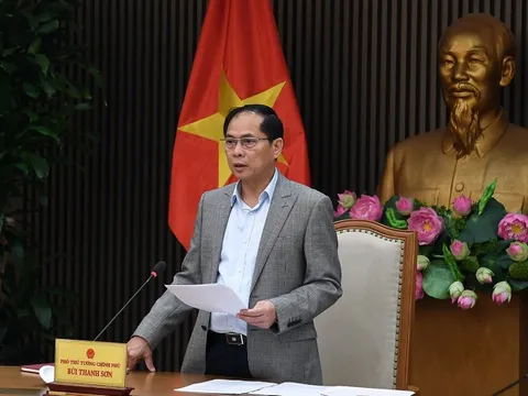 Phó Thủ tướng: Tiếp tục biện pháp ngoại giao để tác động tới các cơ quan của Mỹ