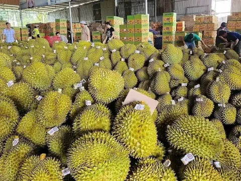 Tăng cường thúc đẩy hợp tác thương mại Việt Nam-Trung Quốc