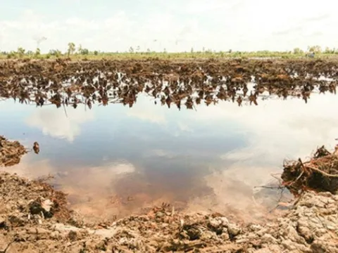 Xâm nhập mặn tiến sâu vào nội đồng ĐBSCL