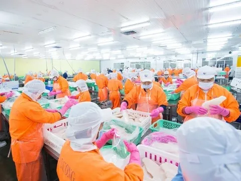 Lãnh đạo doanh nghiệp xuống tiền sau nhịp giảm sâu của cổ phiếu