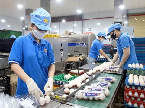 Lối mở để kinh tế tư nhân tăng trưởng bền vững
