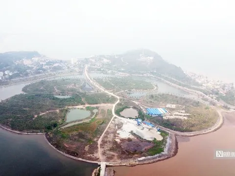 Cận cảnh đảo Hoa Phượng 60ha “đắp chiếu” chờ giải cứu