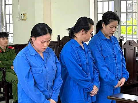 Làm giả sổ đỏ lừa đảo hơn 2,4 tỷ đồng, 3 bị cáo lĩnh án