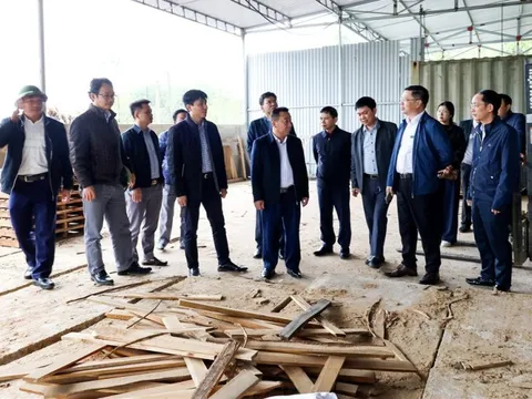 Nghệ An: Đề nghị điều chỉnh dự án sản xuất gỗ ván sợi MDF 2.800 tỷ đồng chậm tiến độ