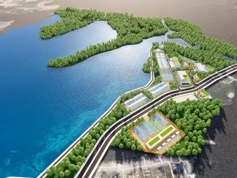 Phê duyệt Đồ án Quy hoạch chung xây dựng Khu lâm nghiệp ứng dụng công nghệ cao vùng Bắc Trung Bộ