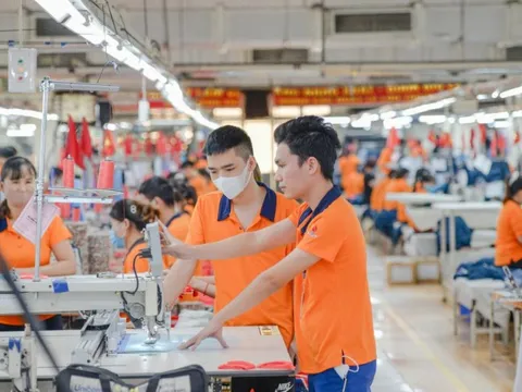 Tăng cường quản lý nguyên liệu đầu vào, ngăn chặn gian lận xuất xứ