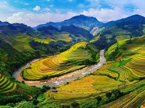 Yên Bái, Lào Cai hợp tác cùng phát triển