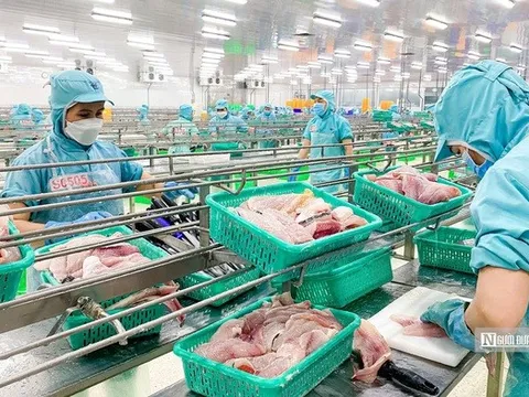 Ứng phó thuế đối ứng từ Mỹ, ngành thuỷ sản đề xuất 2 gói hỗ trợ doanh nghiệp
