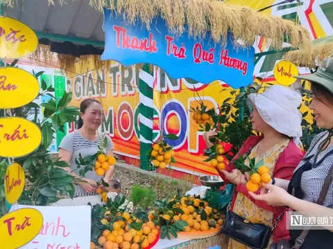Đặc sản trăm năm của tỉnh Vĩnh Long “lên ngôi”