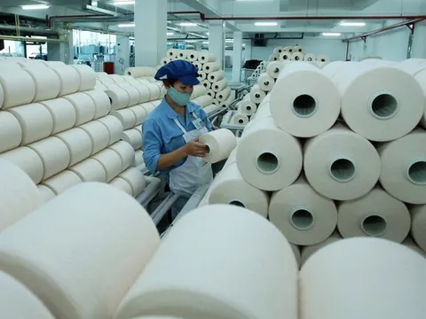 Bán cổ phiếu quỹ không đúng theo báo cáo, Sợi Thế kỷ bị UBCKNN xử phạt