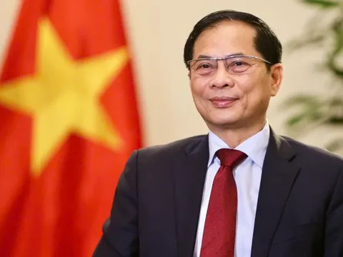 Đăng cai Hội nghị thượng đỉnh P4G: Cơ hội lớn để Việt Nam khẳng định mình