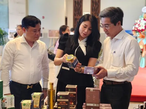 Vĩnh Phúc xúc tiến, quảng bá du lịch tại miền Trung