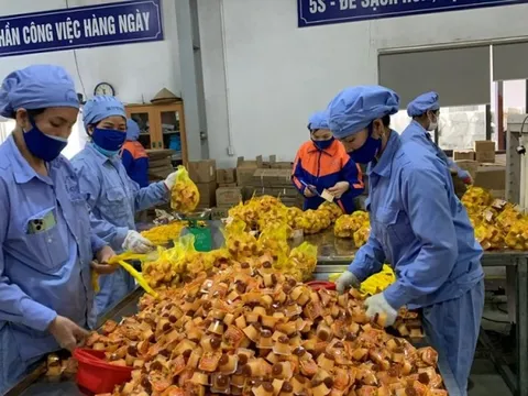 Thực thi Luật Thuế giá trị gia tăng đảm bảo công bằng, minh bạch