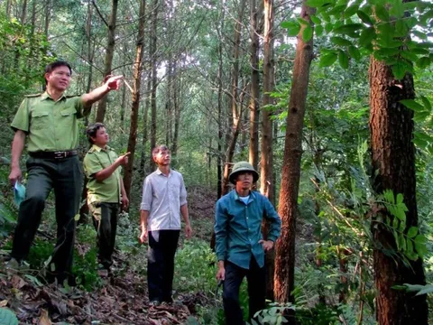 Thách thức là cơ hội tái cơ cấu sản xuất, ngành hàng, thị trường ngành nông nghiệp