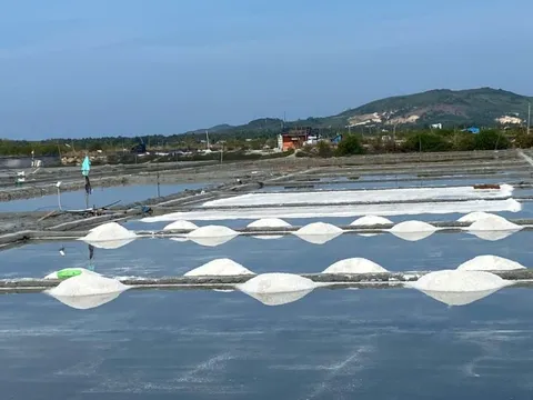 Phát triển làng nghề truyền thống muối Tuyết Diêm