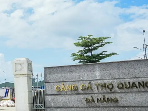 Hơn 65 tỷ đồng cải tạo môi trường âu thuyền, cảng cá lớn nhất Đà Nẵng