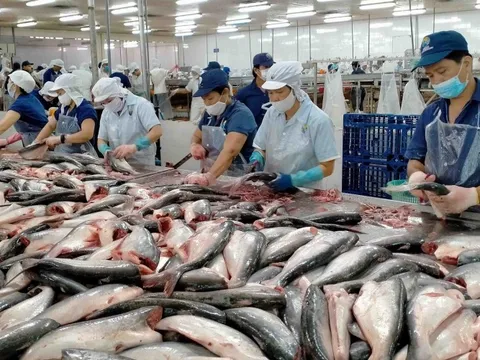 Mở rộng đối tượng vay gói tín dụng 100.000 tỷ đồng trong lĩnh vực nông, lâm, thuỷ sản
