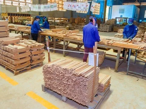 Sau biến động nhân sự thượng tầng, Phú Tài báo lãi quý I/2025 tăng vọt
