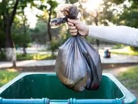 Dọn nhà, cô gái vô tình vứt thứ trị giá 100 tỷ đồng vào thùng rác