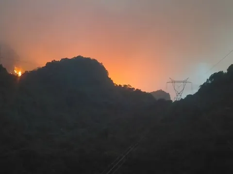 Cháy rừng tại Kim Bảng (Hà Nam) không ảnh hưởng đến hệ thống truyền tải điện quốc gia