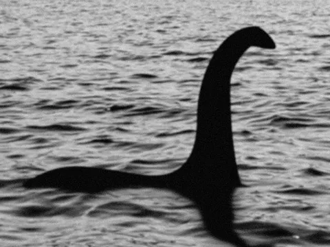 Người phụ nữ phát hiện sinh vật bí ẩn, nghi là quái vật hồ Loch Ness huyền thoại