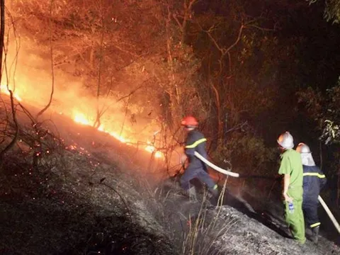 Siết chặt kiểm tra, phòng cháy, chữa cháy rừng