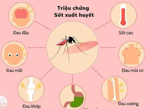 Sốt xuất huyết trên thế giới gia tăng