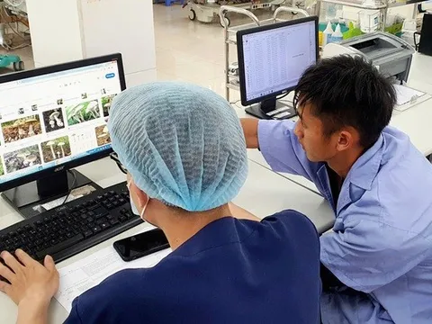Hái nấm rừng về ăn, hai vợ chồng trẻ hôn mê sâu